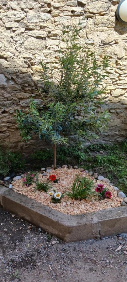 Le 9 De Cour, Chambre Chaco Carcassonne Eksteriør billede