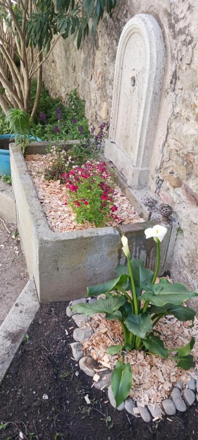 Le 9 De Cour, Chambre Chaco Carcassonne Eksteriør billede